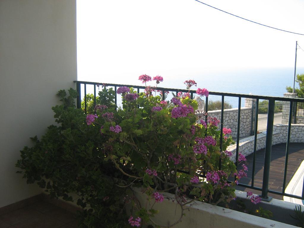Villa Milia Agios Nikitas Exterior photo